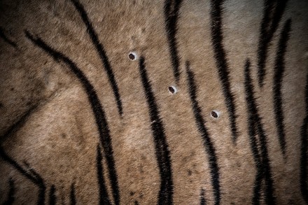 Shot © Britta Jaschinski