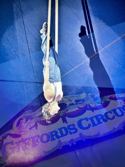 Summer circus, Jocelyn Hayes