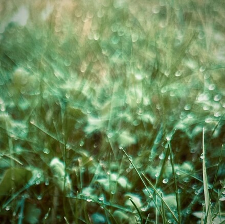 Early one morning, Jocelyn Hayes