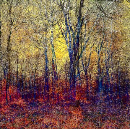 In fear of fire, Helen Jones