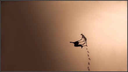 Shadow, © Solly Levi