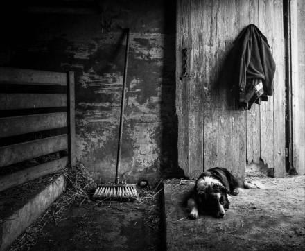 Rest © Amy Bateman
