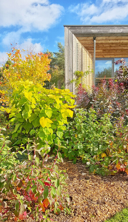 Autumn at the Arboretum, Sue Hoggett