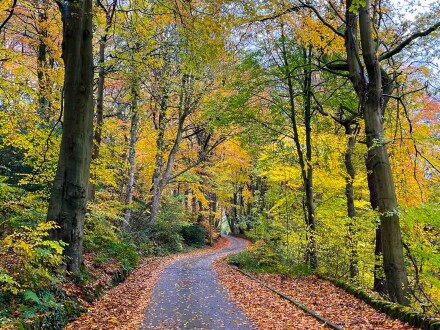 Autumn, Mike Chapman