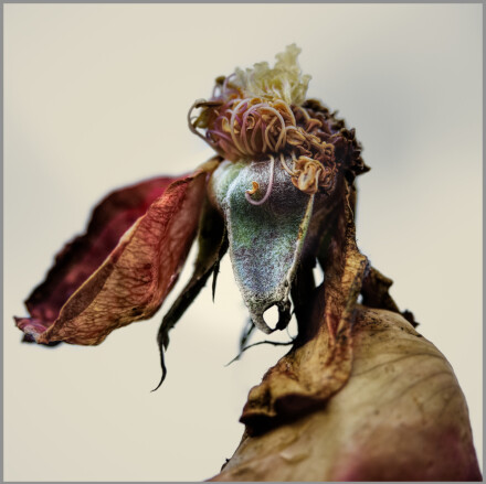 Dancing Queen, Andy Chamings