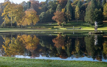 Water garden, Bryan Stanton