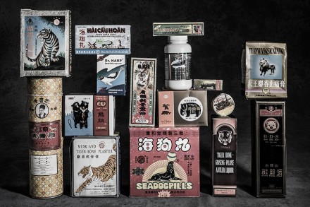 Snake Oil © Britta Jaschinski