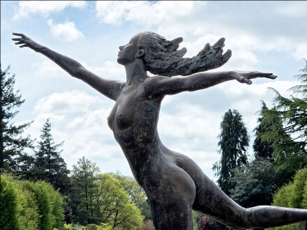 Flying free, Sue Hoggett