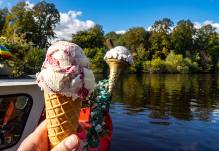 A joyous sight, Wendy Darley