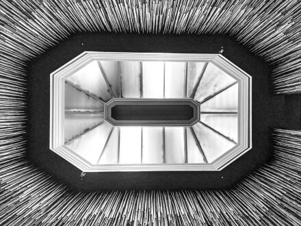 Skylight to the reeds, Mike Chapman