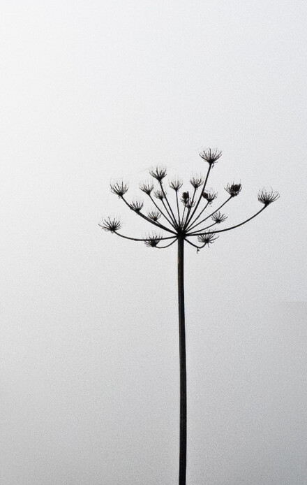 In the mist, Kath Turner