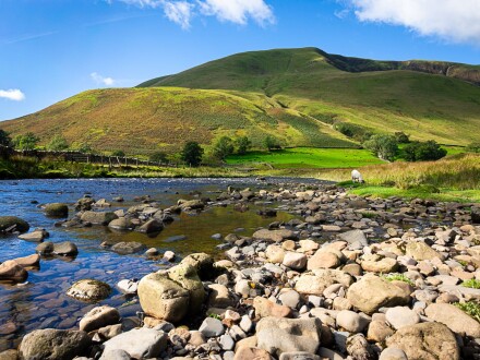 The burbling stream, Richard Masters