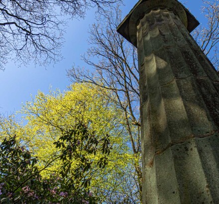 Old green and fresh green, Wendy Darley