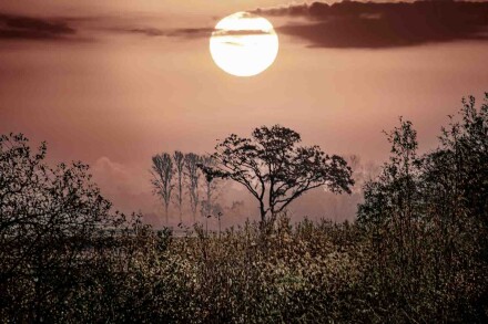 Sunset, Alex Davidson