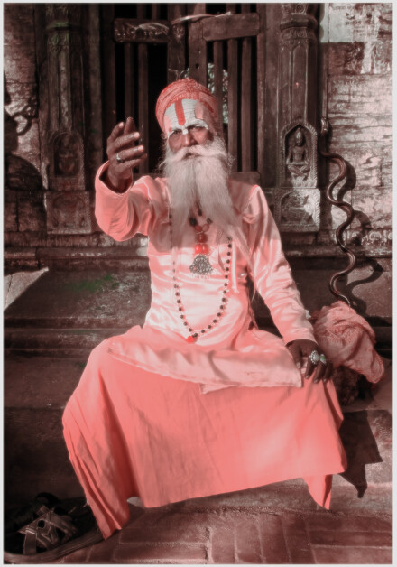 Sadhu baba, David Ireland