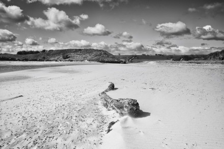 Castaway, Rob Swallow