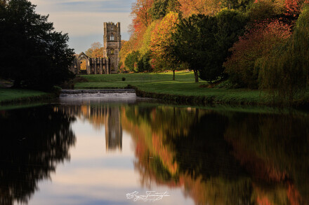 Reflection, Bryan Torrington