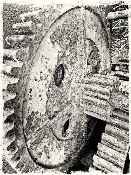 This cog is not for turning, Sue Hoggett