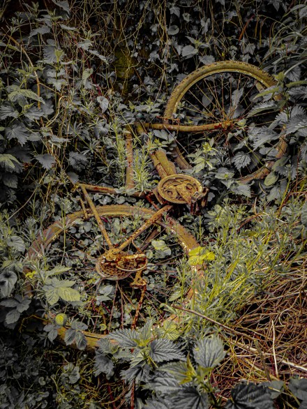 Last of the Tour de Yorkshire, Destruction, Carol Clarke