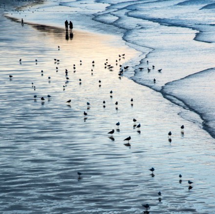 © Lesley Peatfield