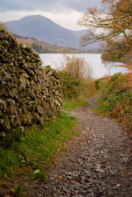 Loweswater path, 50mm, Andy Towse