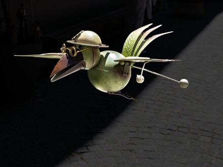 Austrian short sighted bird, Alex Davidson
