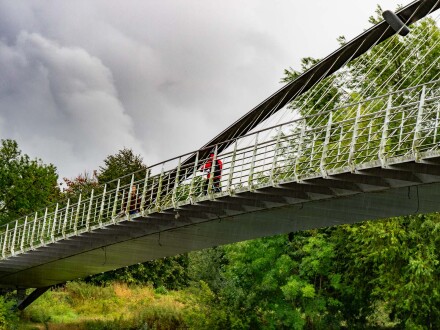 Cycling between the lines, Wendy Darley