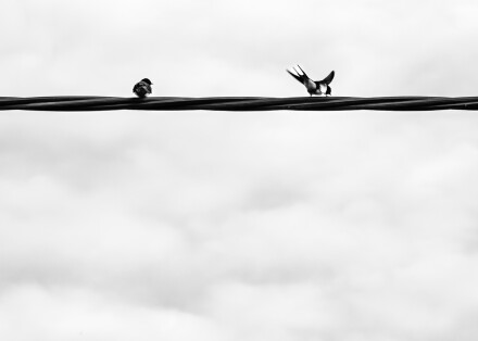 I am off, Alex Davidson