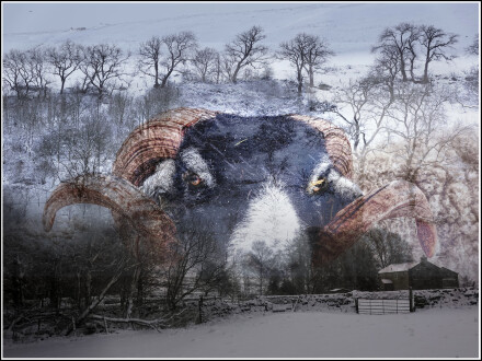 Littondale, Andy Chamings