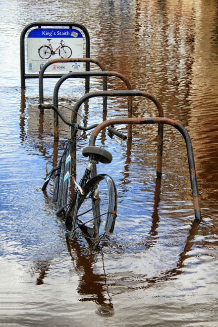 No Wheels, No Owner, No Future, Destruction, Sue Hoggett
