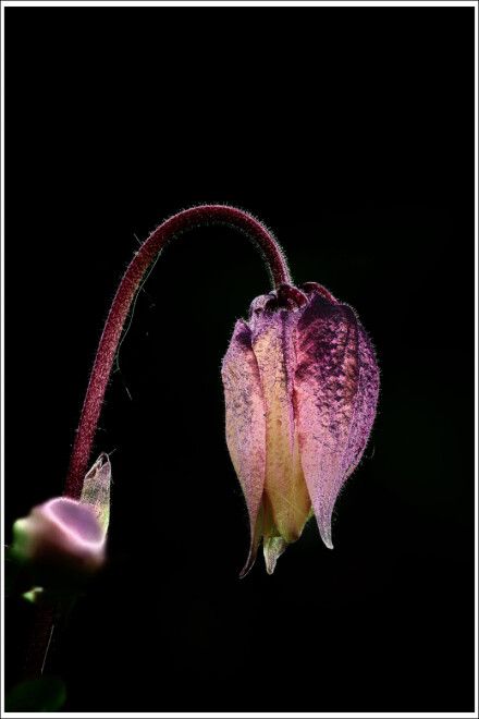 Final bow, Andy Chamings