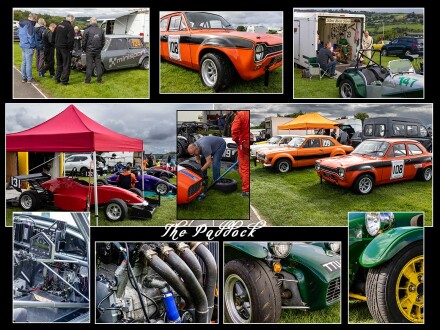 The Paddock, Bryan Torrington