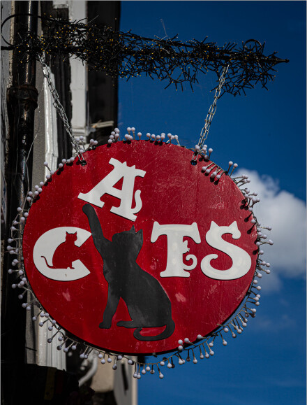 Cats, Roger Poyser