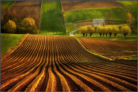 United Colours of Spring, Poland © Piotr Skrzypiec