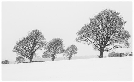 Let it snow, Karen Hoth