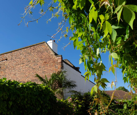 Blue sky chimney, Wendy Darley