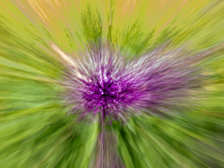 Speed of light, Alex Davidson