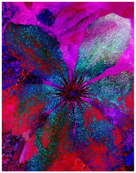 Flower Power, Sue Hoggett