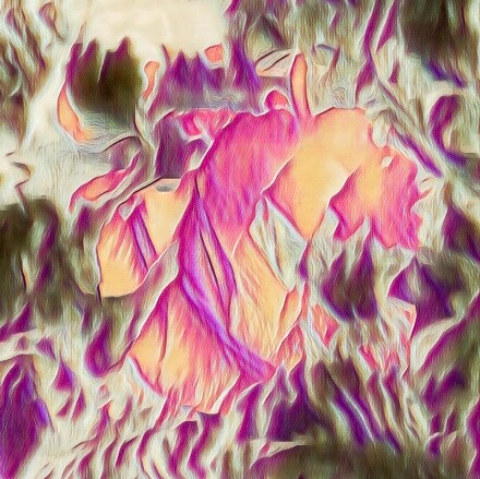 Floral ecstacy, David Williamson