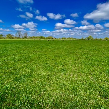 F is for field, Peter Robinson