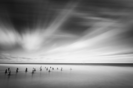 Onwards, My Little Creatures, Onwards © Bill Ward Photography