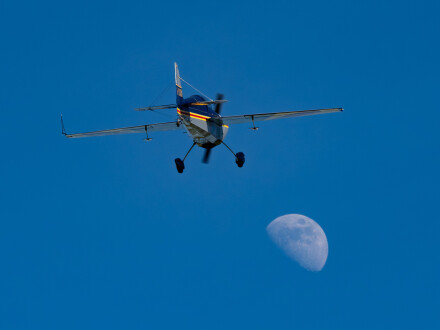 Fly me to the moon, Mike Darley