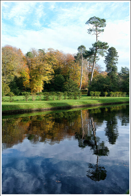 Reflections, Sue Hoggett