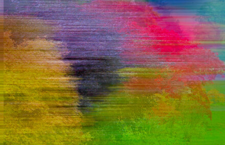 Autumn layers, David Whitham