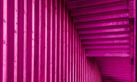 Too many pink lines, Mike Darley