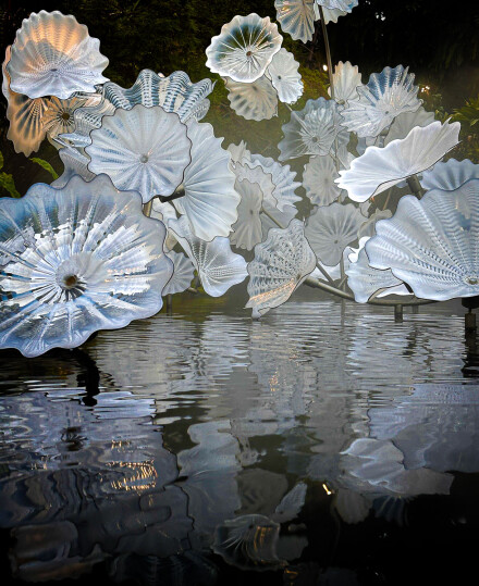 Fragile blooms, Julia Walton