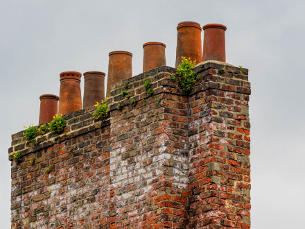Nature reclaiming pots, Kath Turner