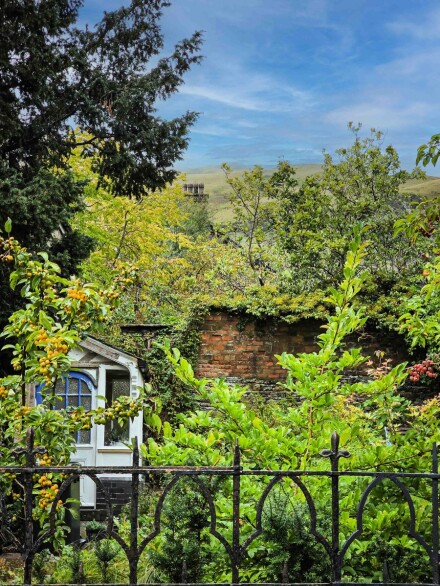 Hidden cottage, Richard Masters