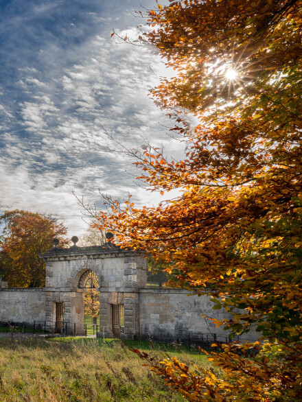 Autumn sunshine at Studley Deer Park, Martin Holyoak
