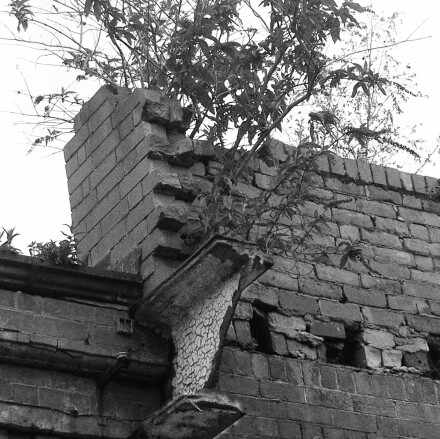 RSJ feeling lazy, Phil Neath